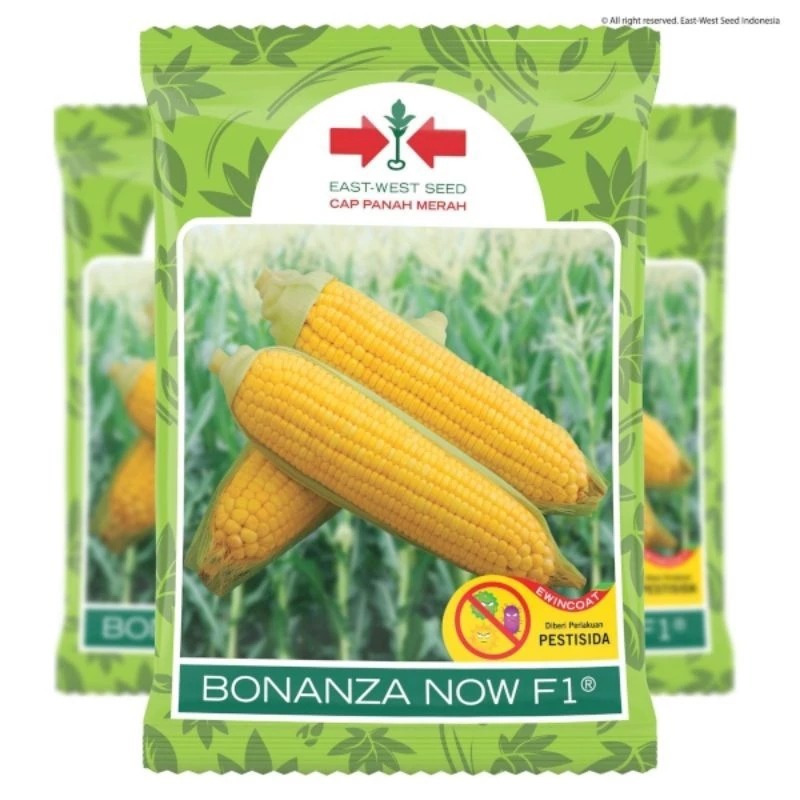 

PROMO TERMURAH !!! Benih Jagung Manis BONANZA NOW F1, NB SUPER F1, Secada 88 Cap Panah Merah Exp 9-2026