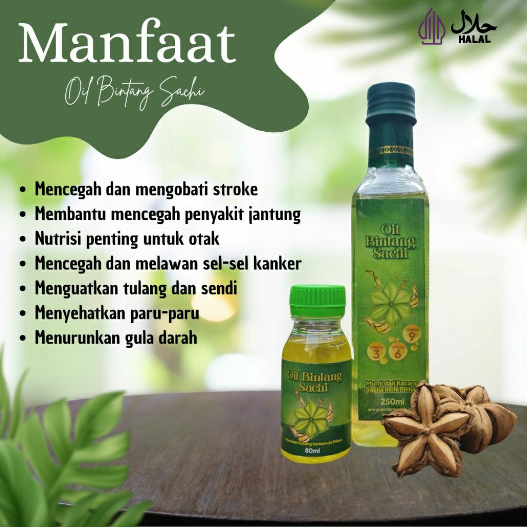 

Minyak bintang sachi