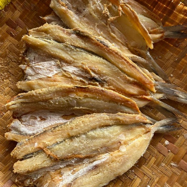 

GABUS LAUT 1 KILO PROMO HARGA TERMURAH