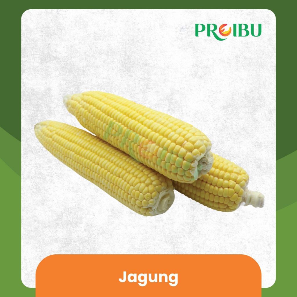 

Jagung