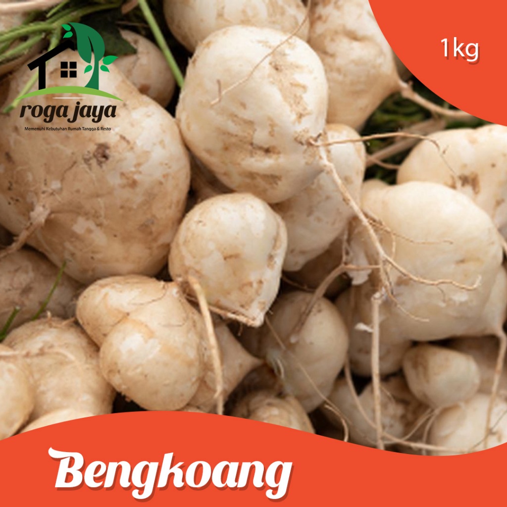 

Buah Bengkoang Berat 1kg Fresh