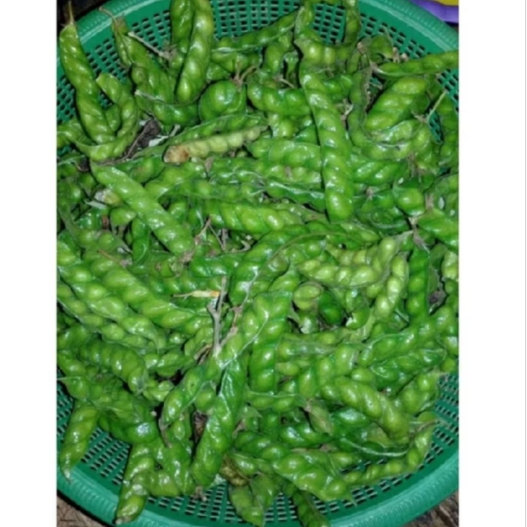

hiris 50 gram ready segar