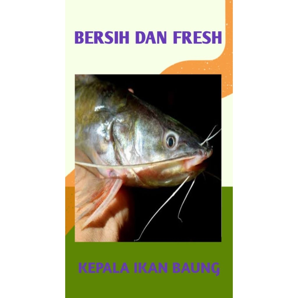 

KEPALA IKAN BAUNG LAUT FRESH 1 KG - PALEMBANG