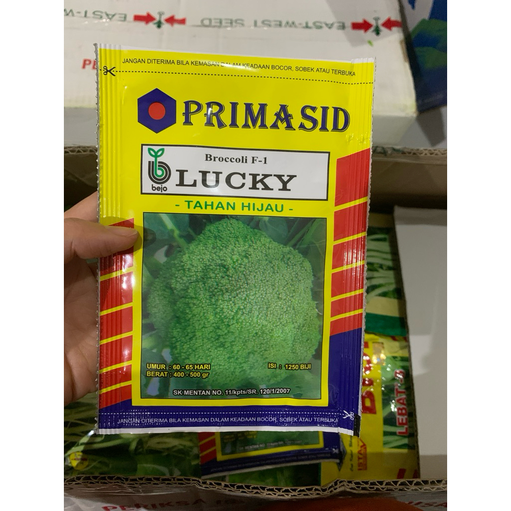 Benih Brokoli BEJO LUCKY 1250butir brokoli hibrida Lucky f1 dari Primasid