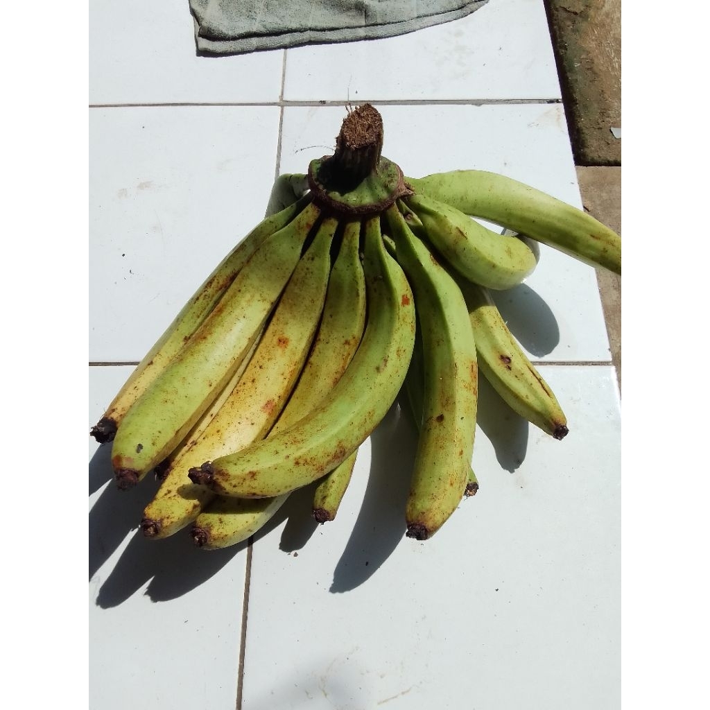 

pisang lampeneng