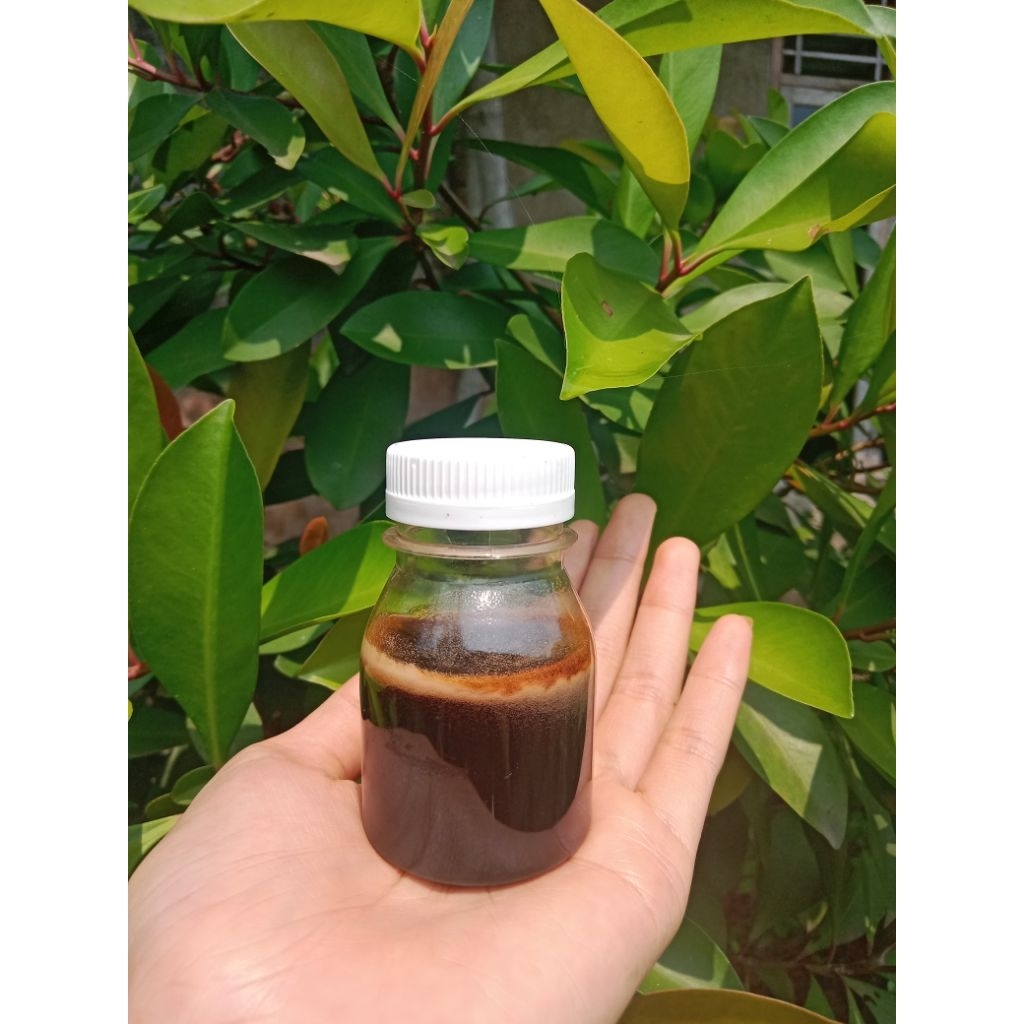 

Madu Lebah Asli 100% ORIGINAL