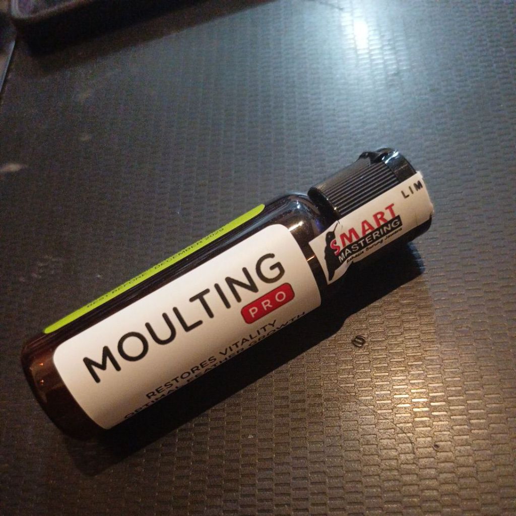 VITAMIN BURUNG MOULTING PRO SMART MASTERING VITAMIN UNTUK MEMPERCEPAT PROSES NGURAK MABUNG BURUNG KI