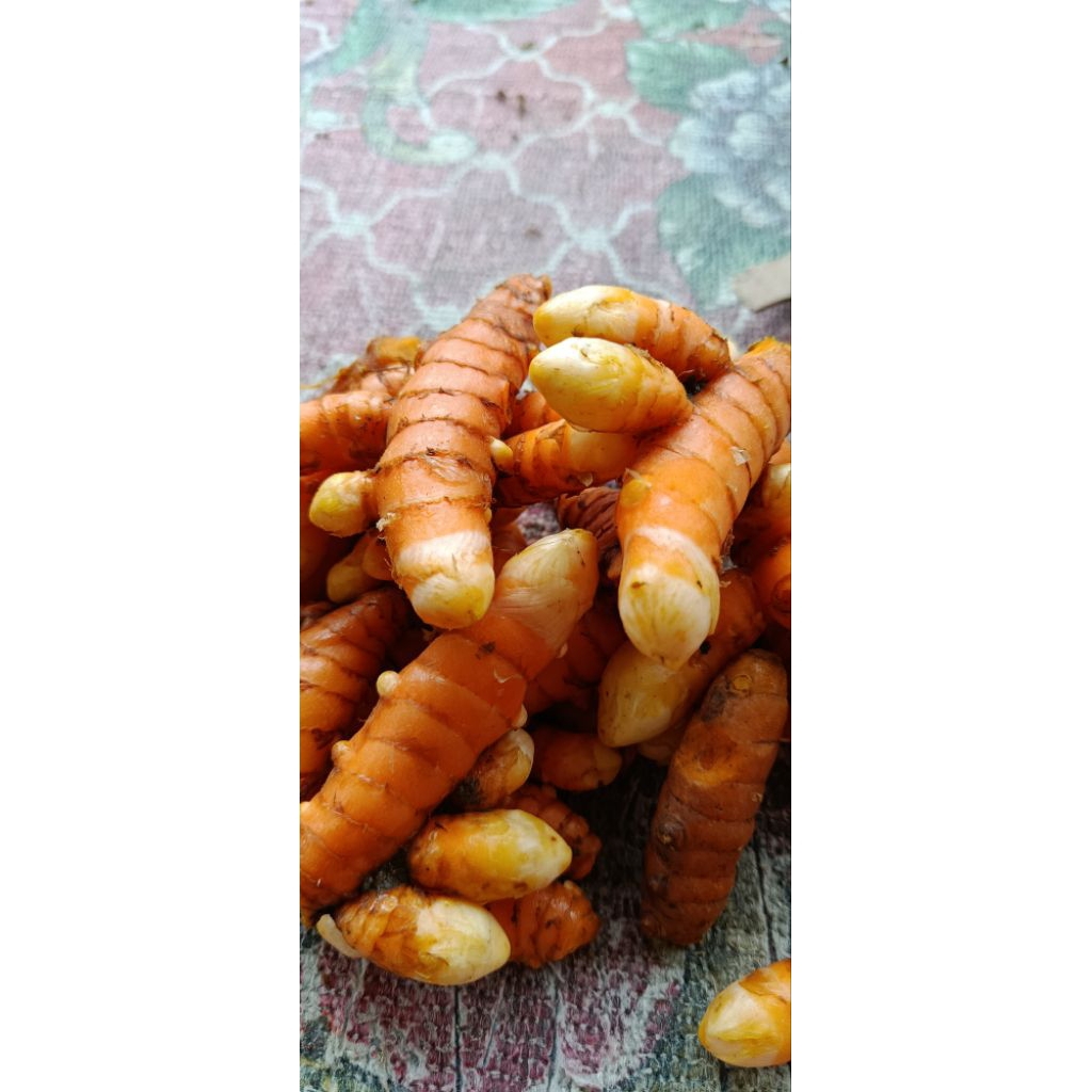 

jual kunyit asli segar berkualitas per 500gram