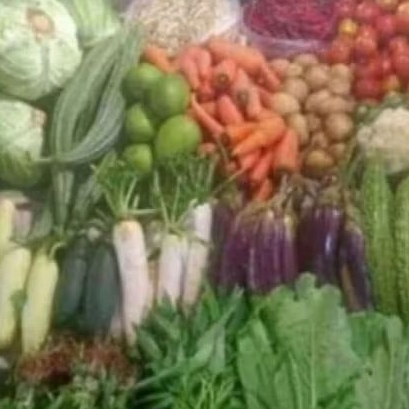 

Sayuran Segar Harian - Kangkung, Bayam, Sawi Hemat