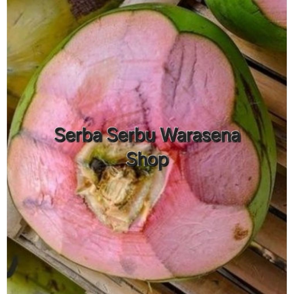 

kelapa muda pucuk merah/kelapa muda wulung/kelapa hijau asli