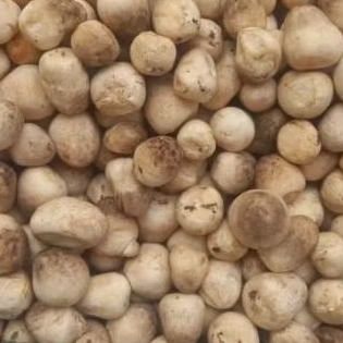 

Jamur Merang 500 gram
