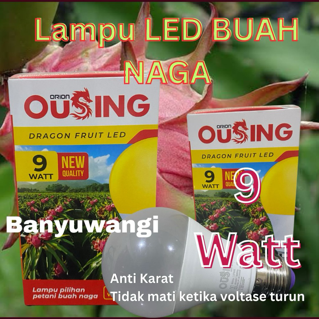 Lampu buah naga 9 Watt OUSING