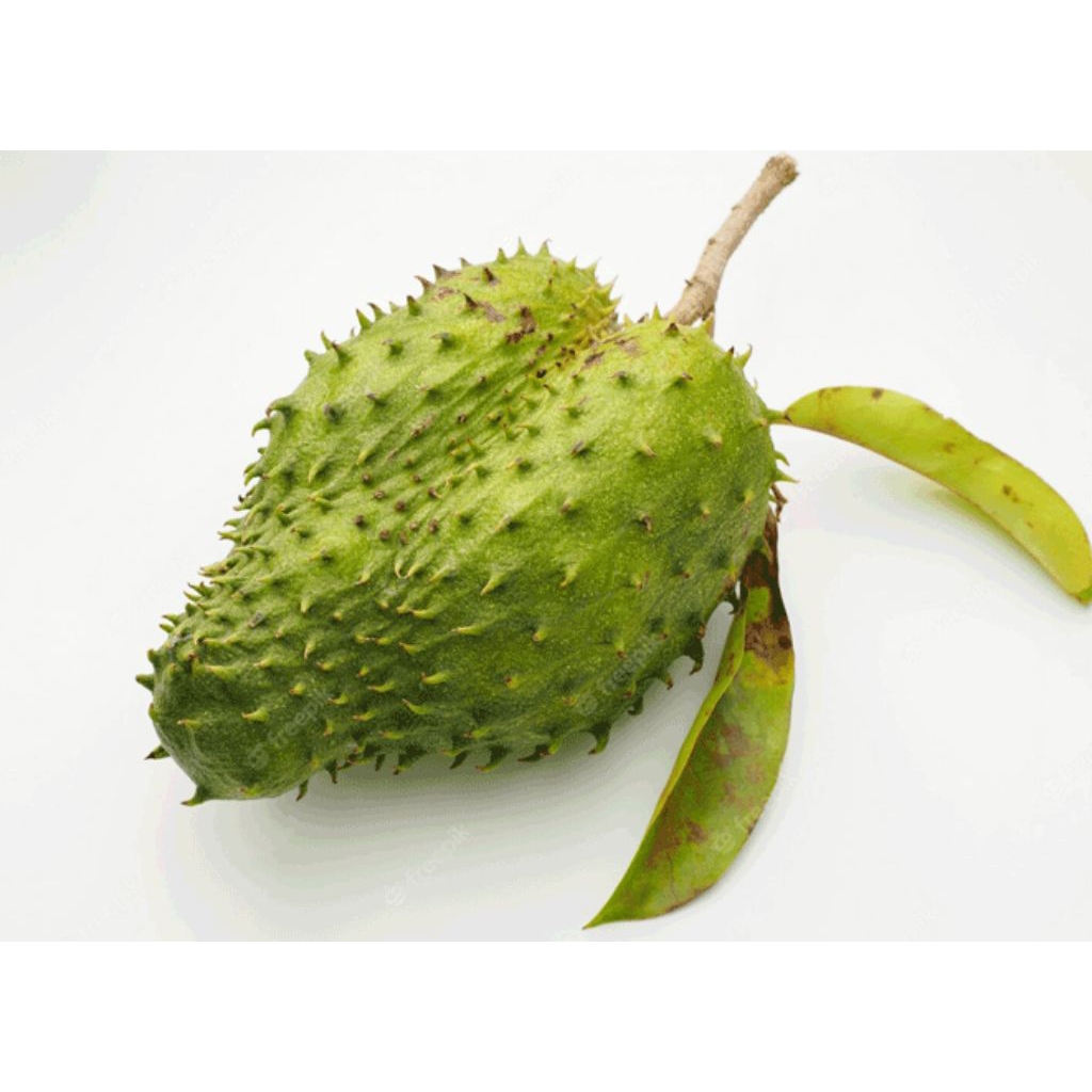 

Buah Sirsak/Alpukat Mentega