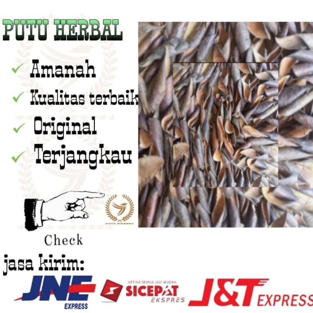 

Kulit Buah Secang Kering 250g | Kulit Buah Secang Kering