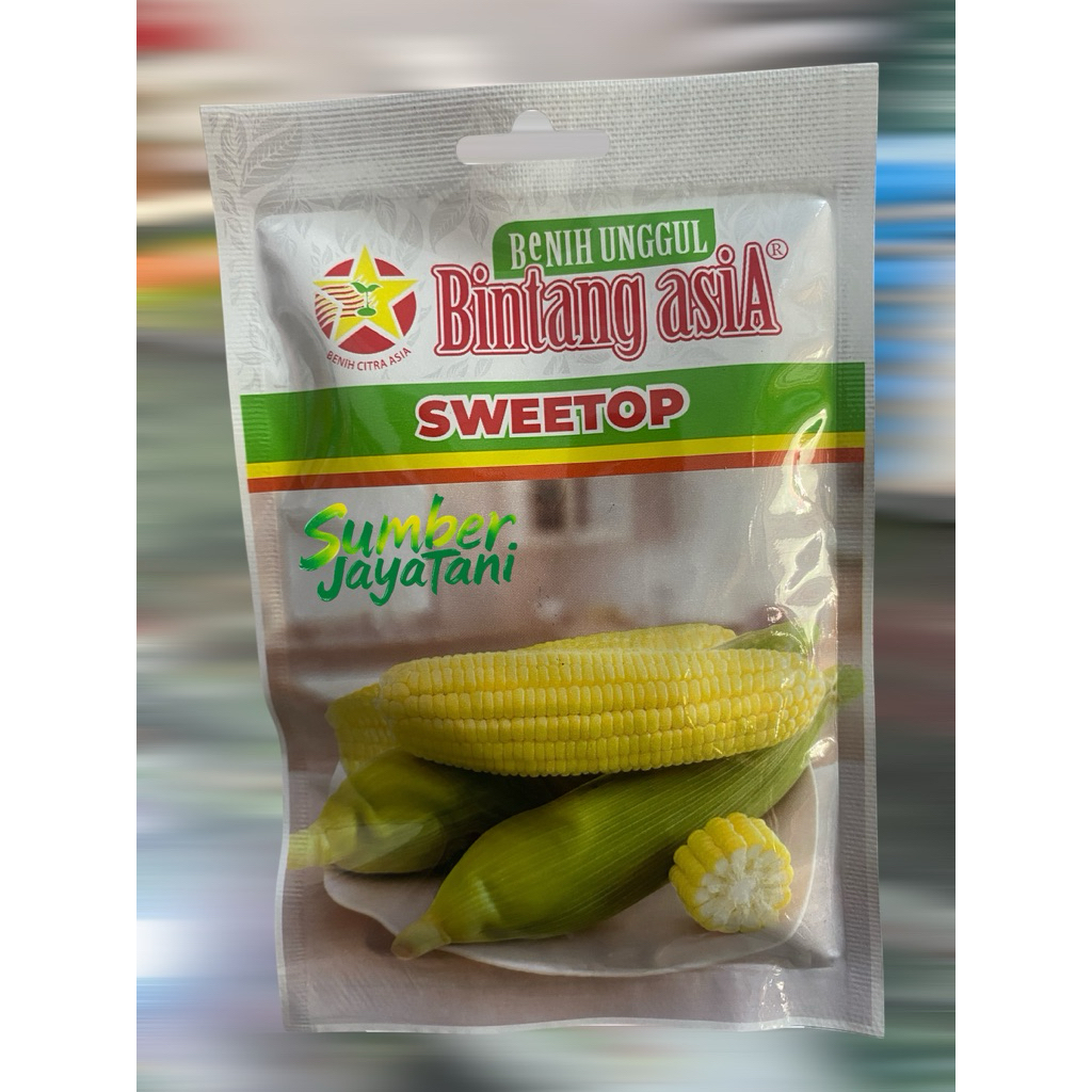 bibit jagung manis sweetop bintang asia