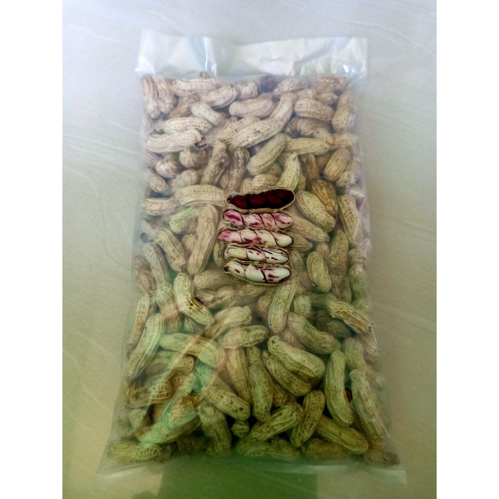 

CARI BERGO KELOLA GROUP 1 KG~JUAL GROSIR CEMILAN KACANG LURIK MADU FRESH~Berat:200 gr,500 gr,1.000 gr~Terstabil,Terlaris,Promo,~Kelola Petani Group~KELOLA BOGA MART~Sayur Fresh