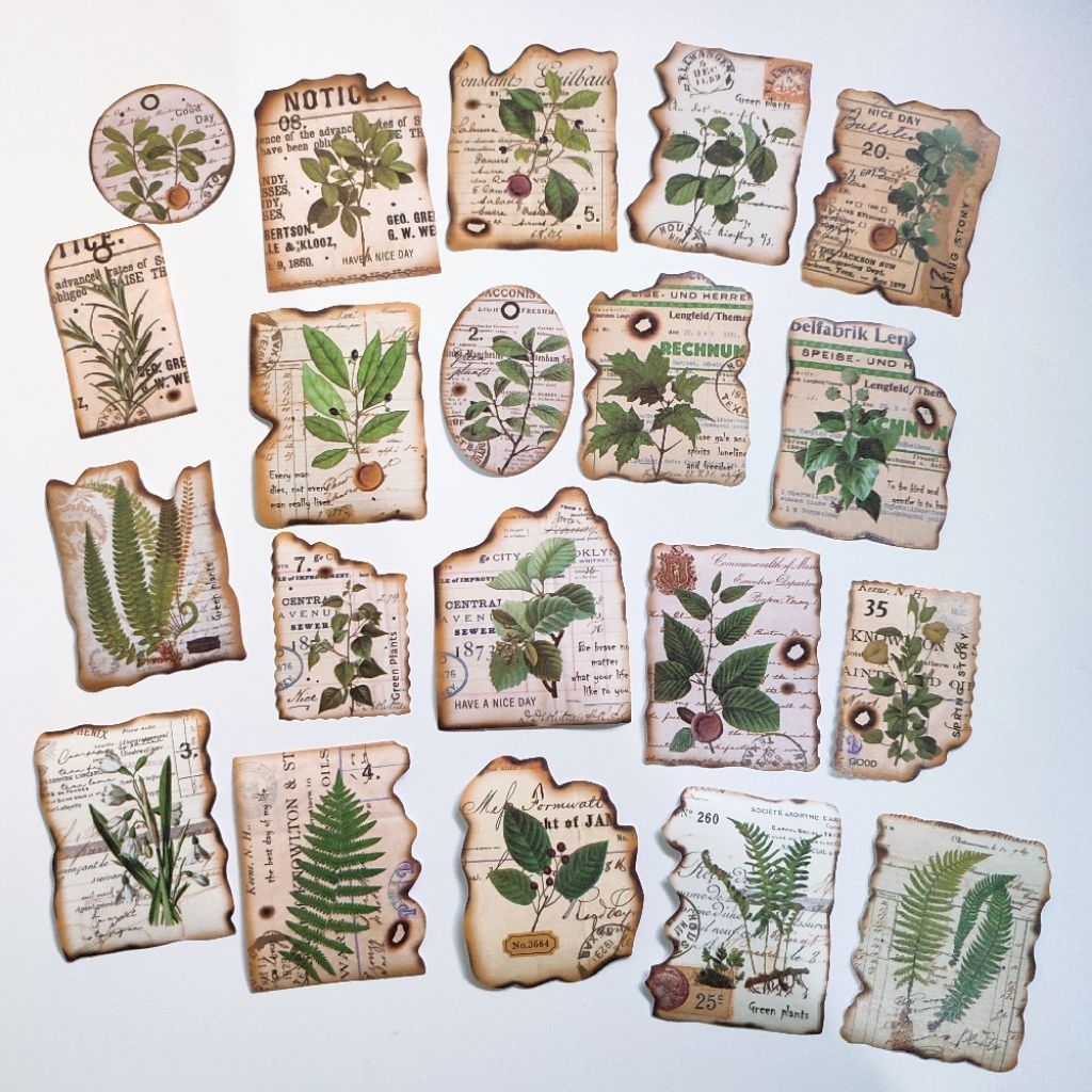 

STIKER JOURNALING SCRAPBOOK BOTANICAL BURN