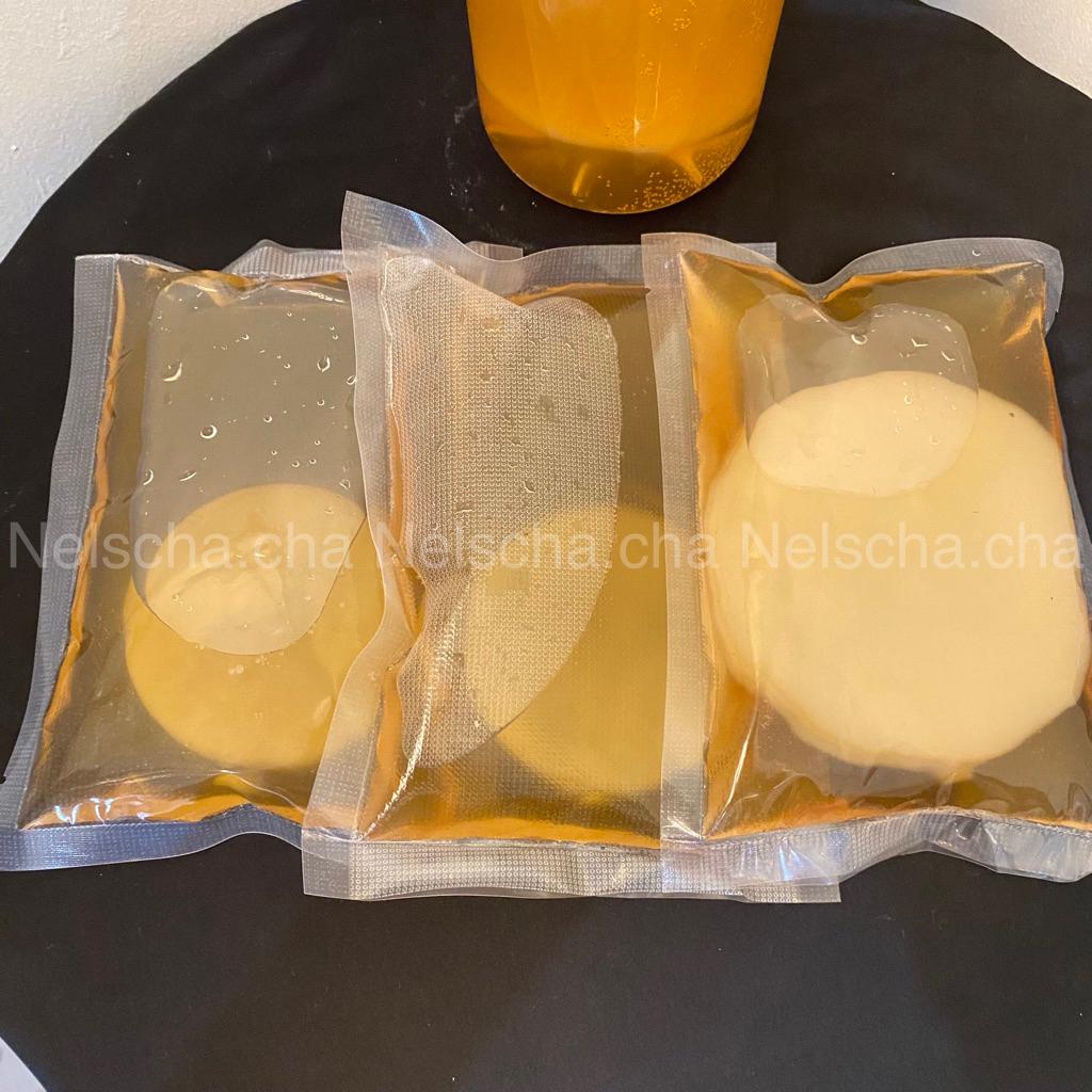 

Kombucha premium homemade TEBEL free starter KUAT