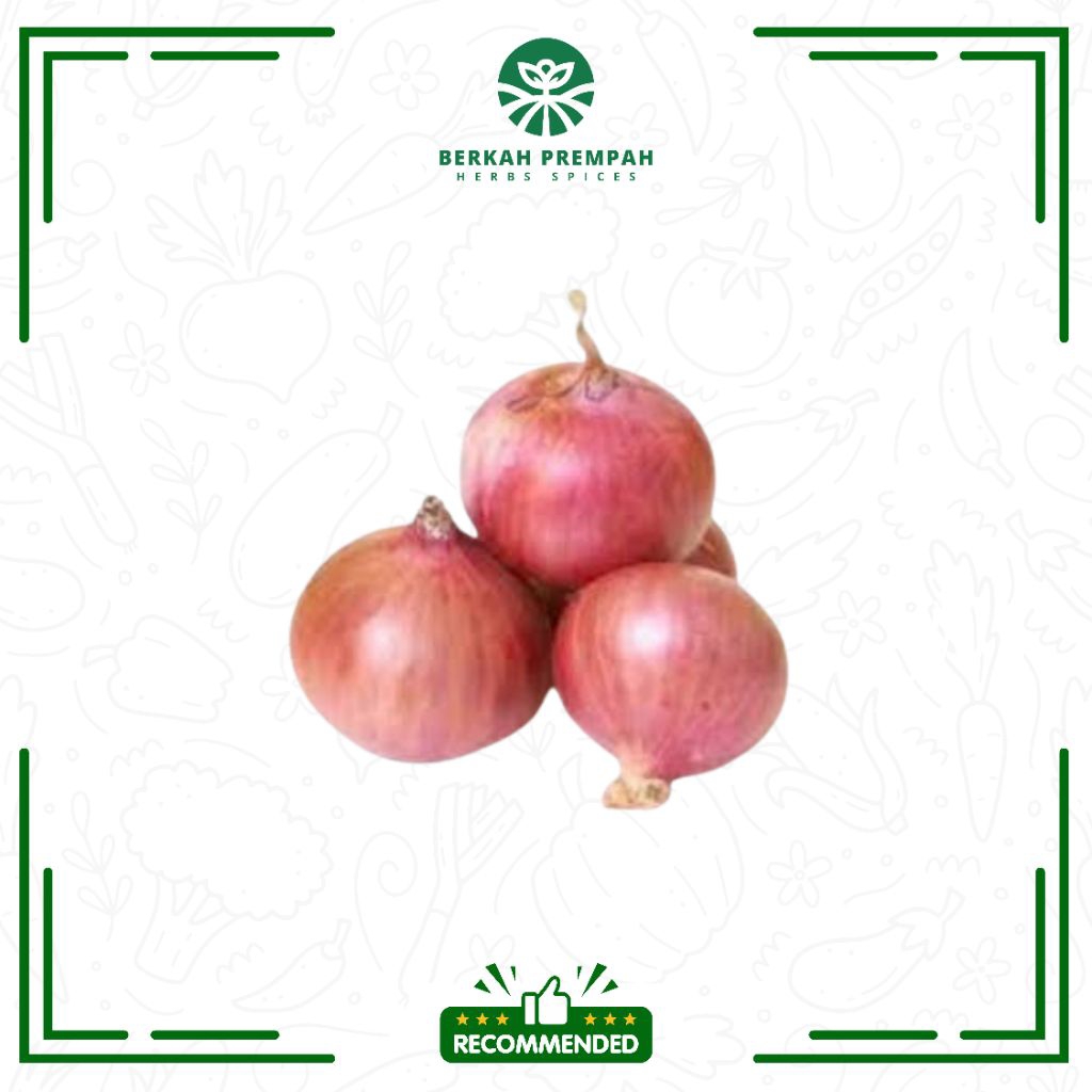 

Bawang merah india segar | Bawang peking super premium - BerkahPrempah