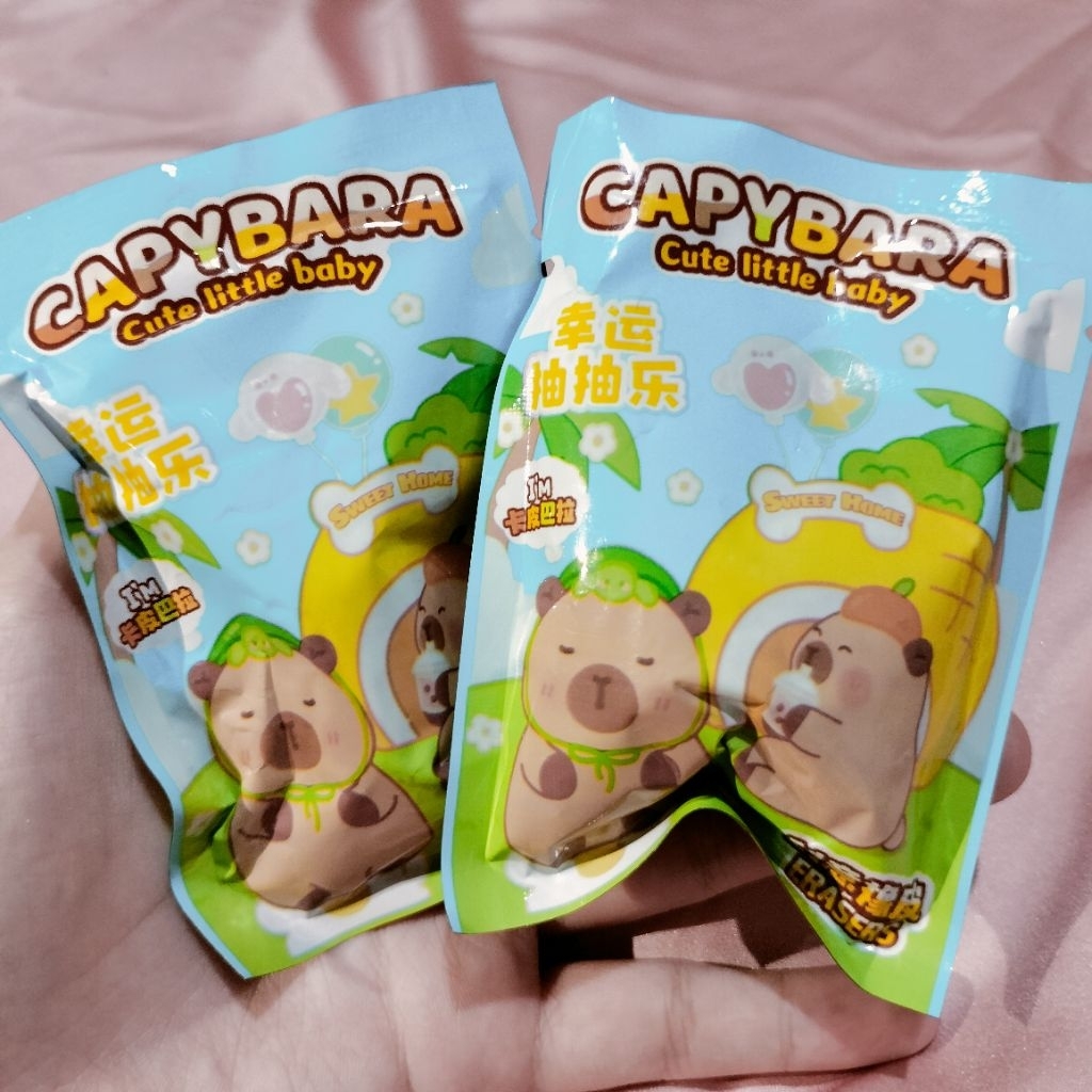 

Blind box capybara eraser