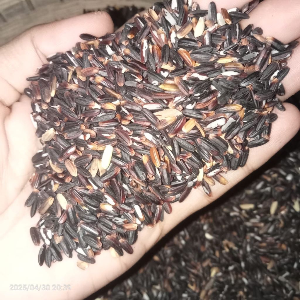 

BERAS KETAN HITAM 500g