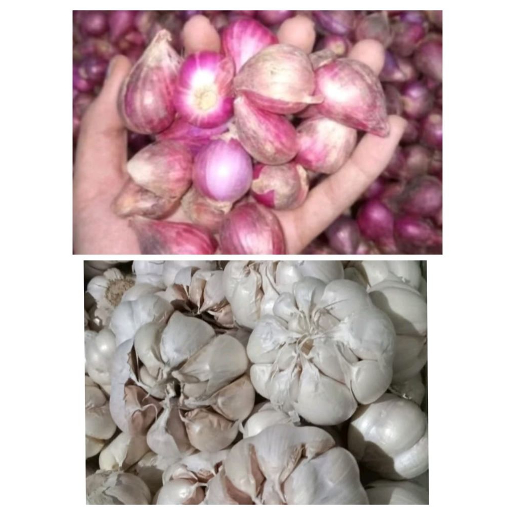 

SEPAKET BAWANG MERAH&PUTIH 250g