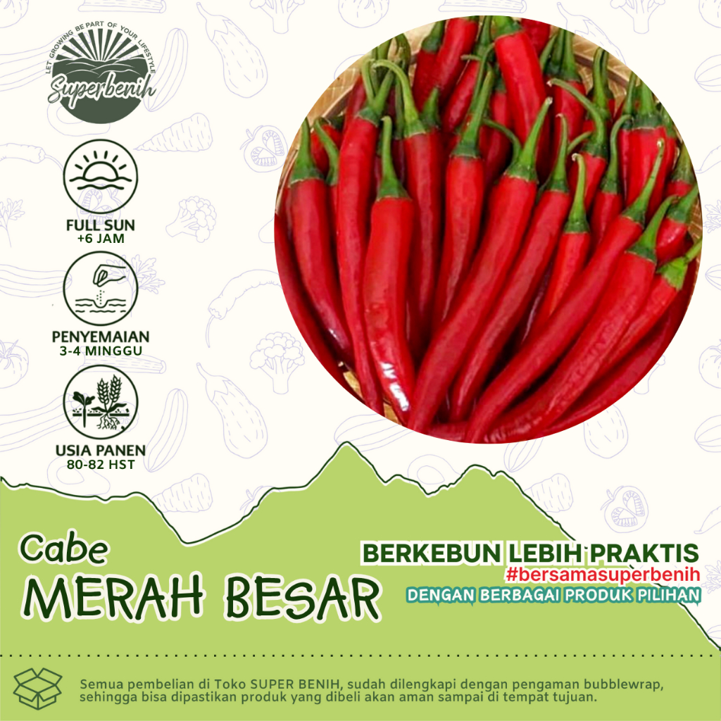 15 biji - Benih CABE MERAH BESAR hibrida