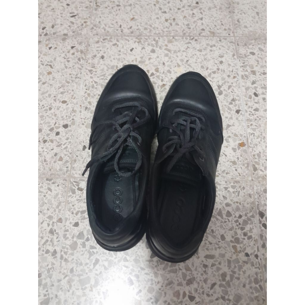 Sepatu Tali Ecco