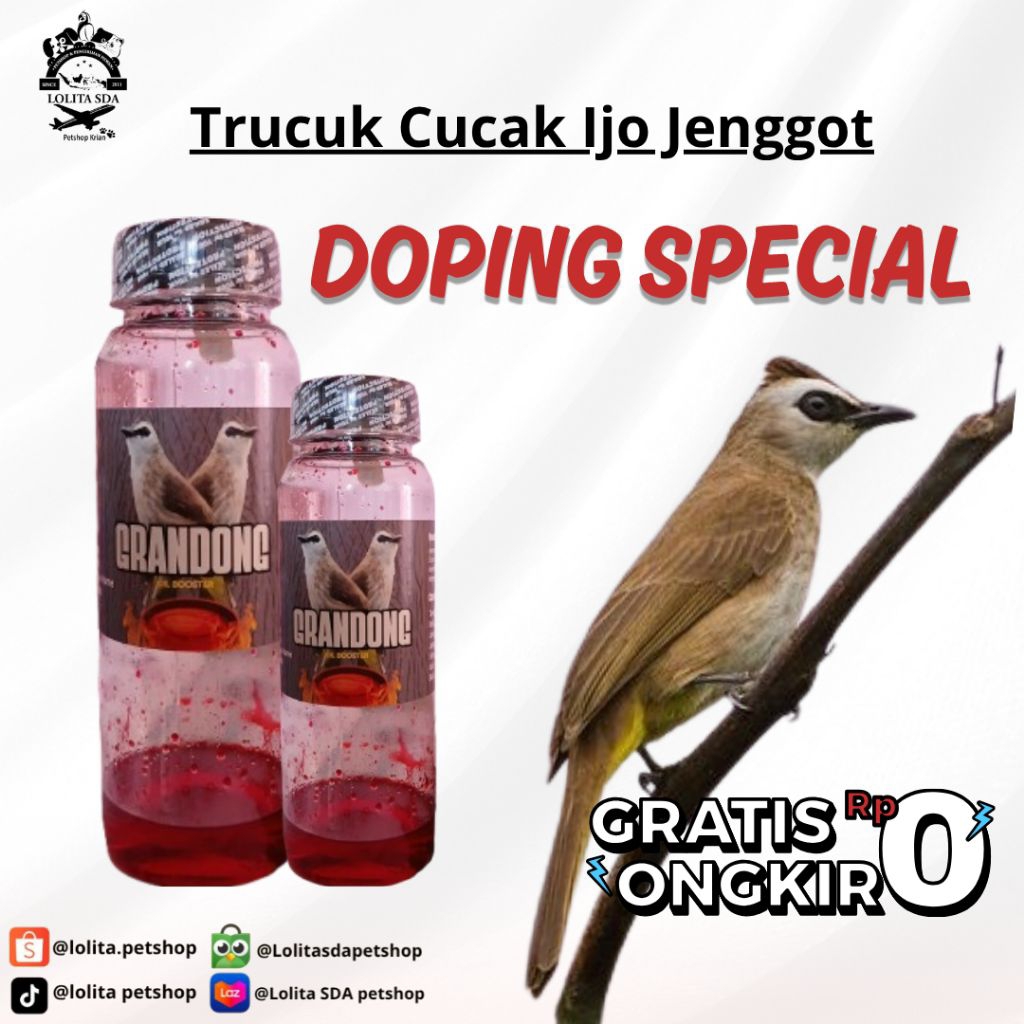 GRANDONG Doping Burung Trucukan Cucak Ijo Jenggot Kapas Tembak Ropel Cepat Gacor