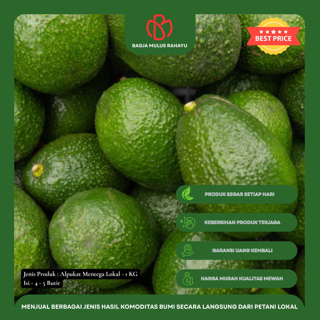 

Alpukat Mentega Lokal - 1 KG - [ Isi 4 - 5 Butir ] - Buah Alpukat Mentega Lokal Bergaransi