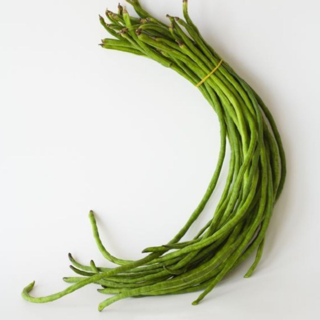 

[PS] Kacang Panjang