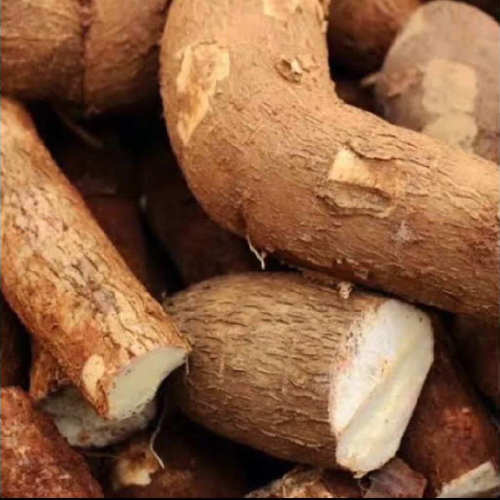 

singkong keju/ singkong gurih mantap pulen isi 1kg