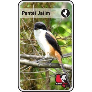 Pentet Jatim Mh Palmerah