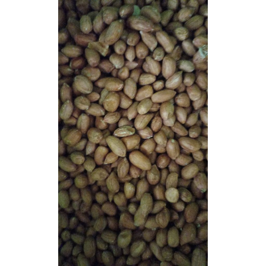 

kacang bumbu