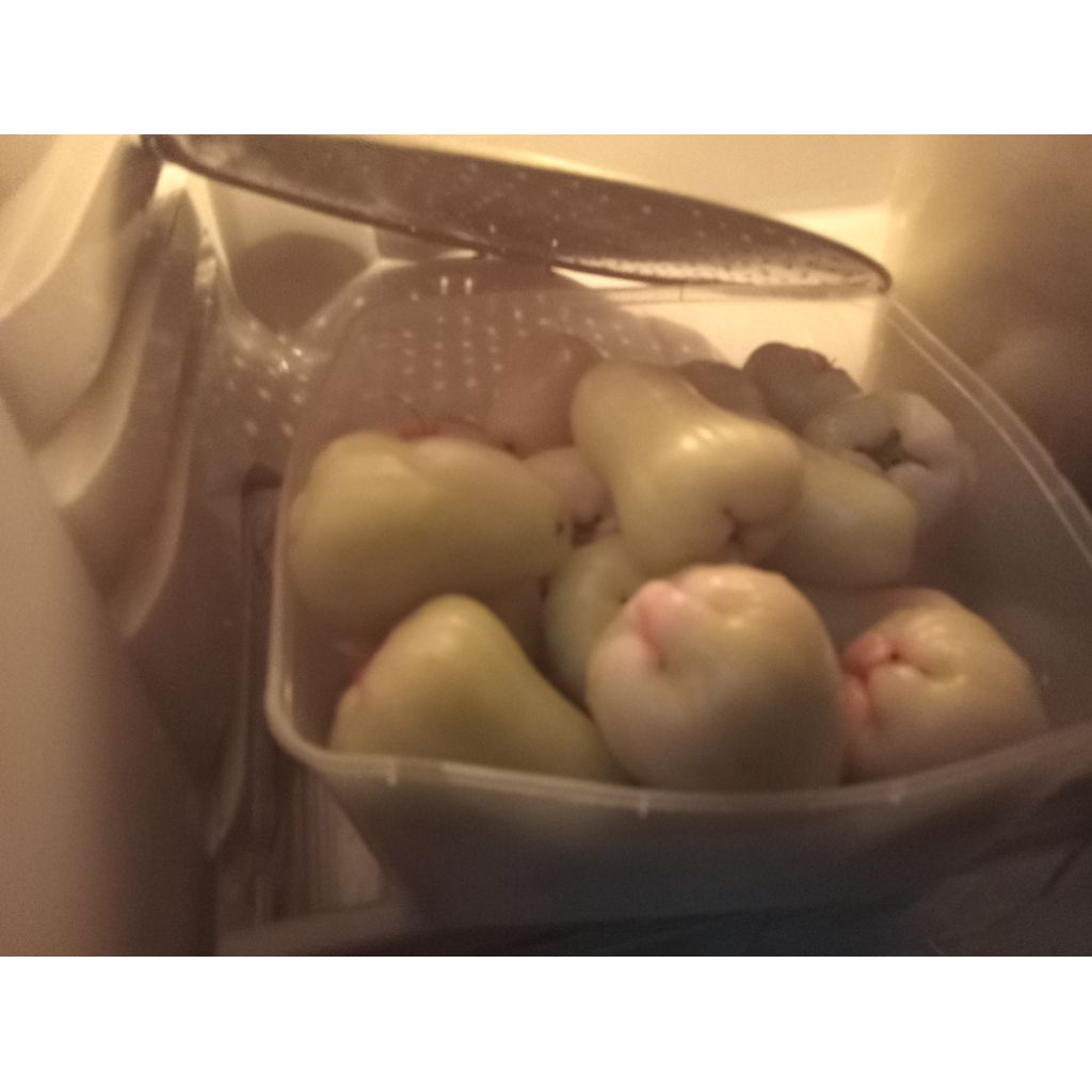

jambu madu