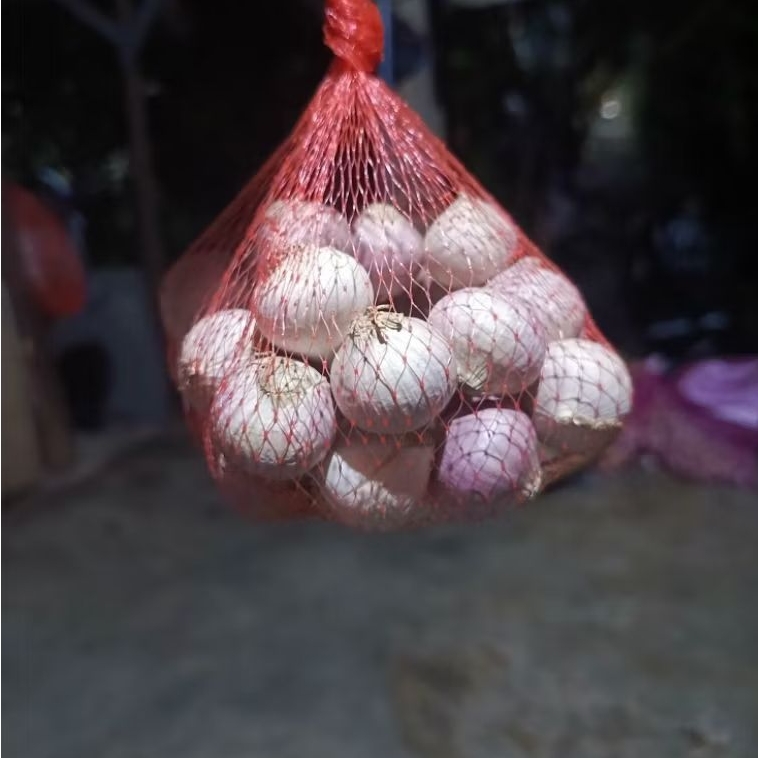 

Bawang Putih Tunggal 250 Gram - Bawang Lanang 250 Gram - Fresh Baru Langsung Dari Gudang