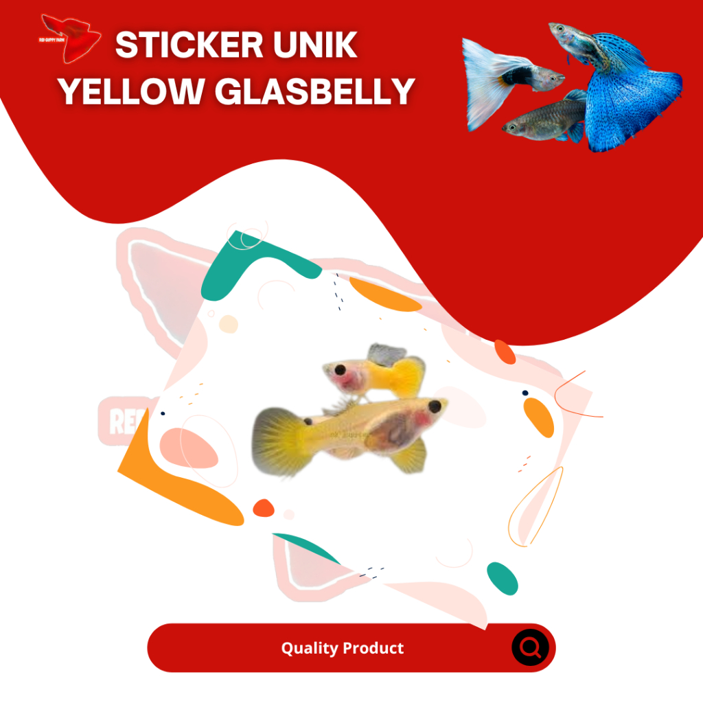 

STICKER UNIK YELLOW GLASSBELLY