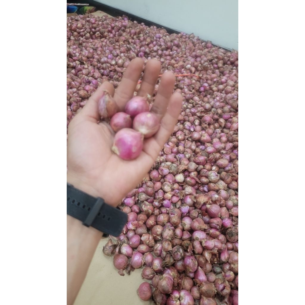 

Bawang merah Uk 250 grm