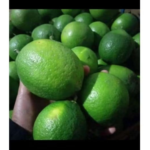 

lemon california 500gram