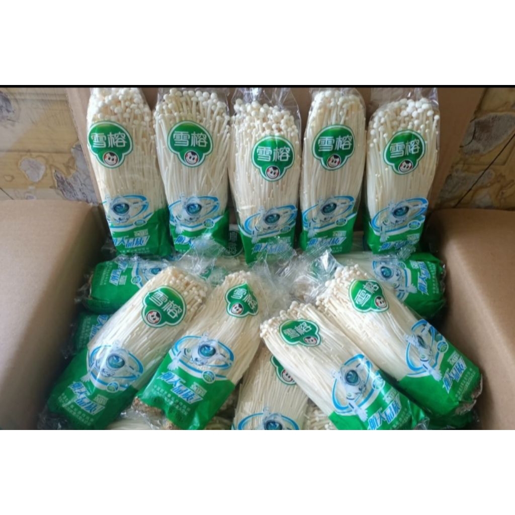 

Jamur Enoki Fresh Dikemas Rapi Dan Bersih