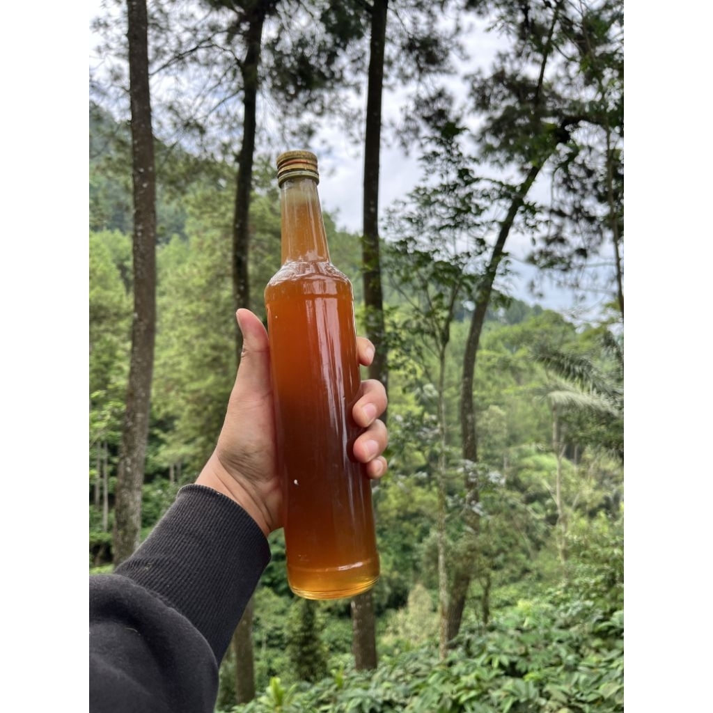 

MADU KLANCENG HUTAN RASA ASEM KECUT warna coklat gelap, MADU JOSS ,MADU DIET, PENGOBATAN DIABETES, KASTA TERTINGGI DALAM VARIAN MADU MURNI, JAMINAN DUNIA AKHIRAT MURNI TANPA CAMPURAN GULA ATAU BAHAN SINTETIS LAINYA