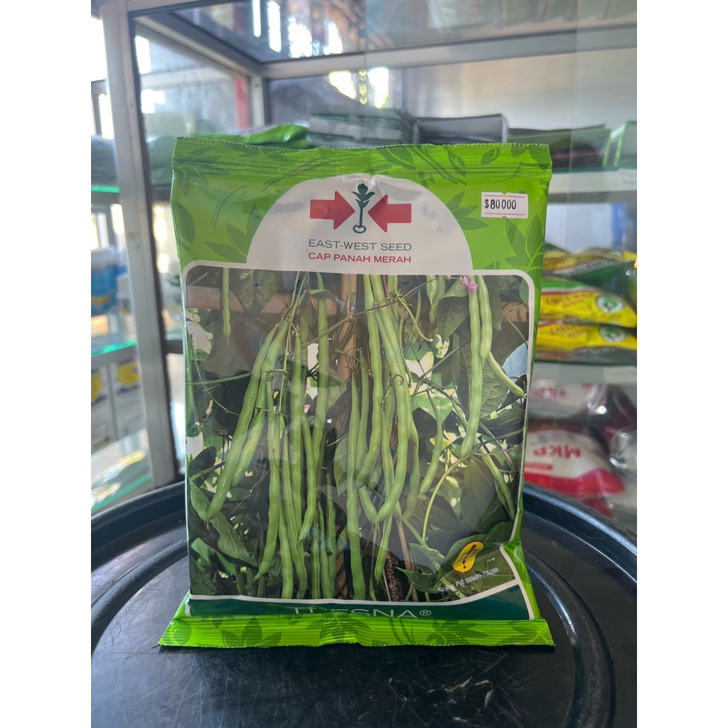 

KACANG BUNCIS TRESNA