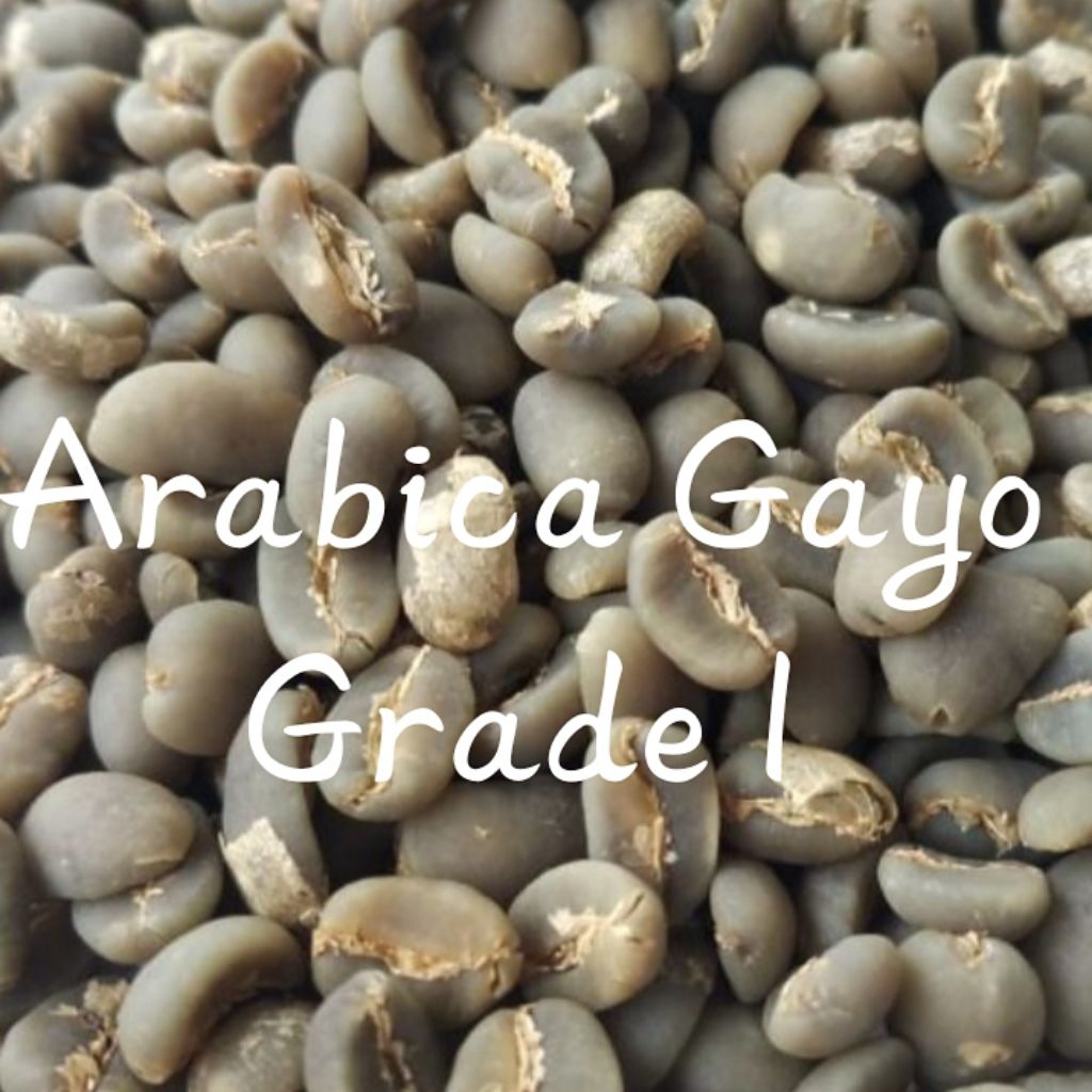 

Greenbean Arabika Aceh Gayo 1Kg Natural Proses G1