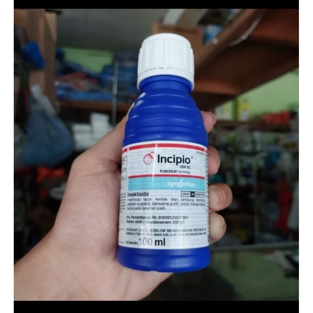 insektisida INCIPIO 100ML. Basmi ulat,sundep,beluj