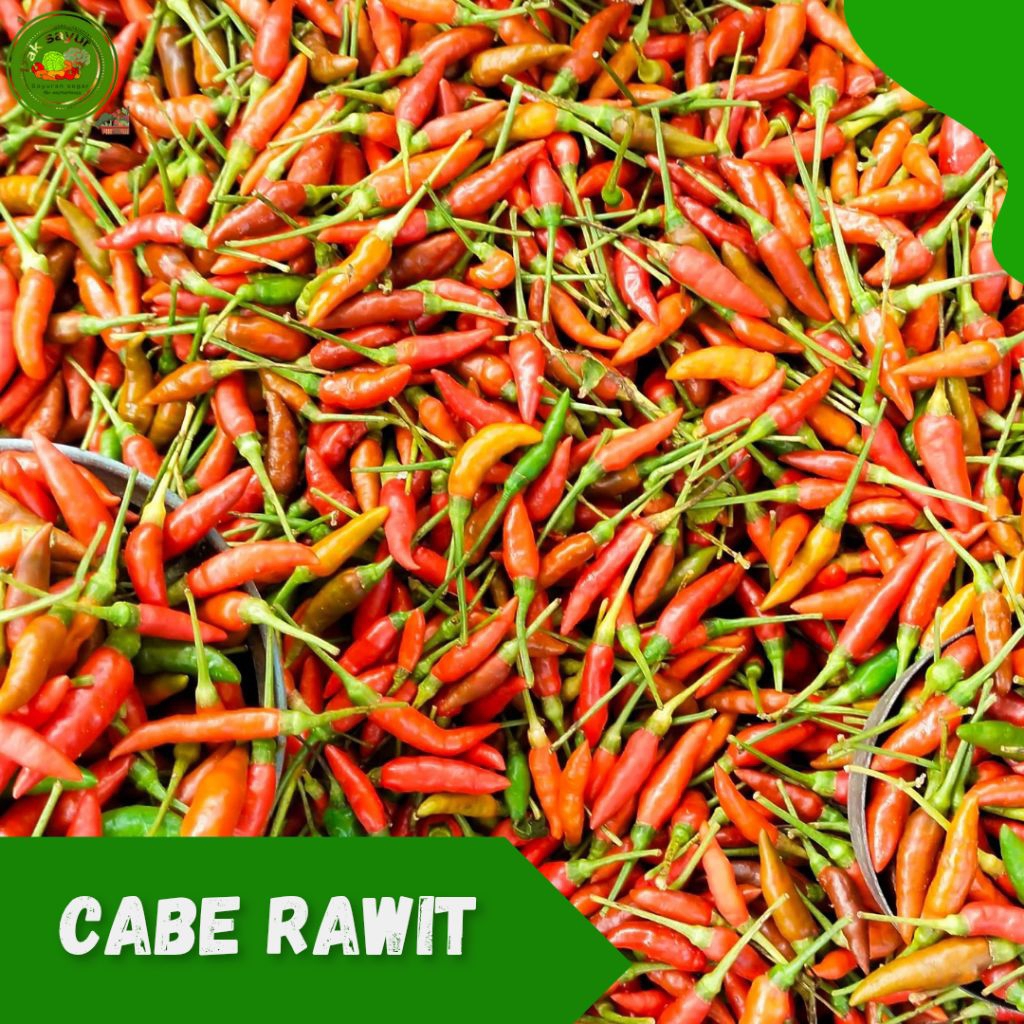 

Cabai rawit , Cabai Prentul , Cabai Ori , Cabai Rawit Pedas ,Cayenne pepper