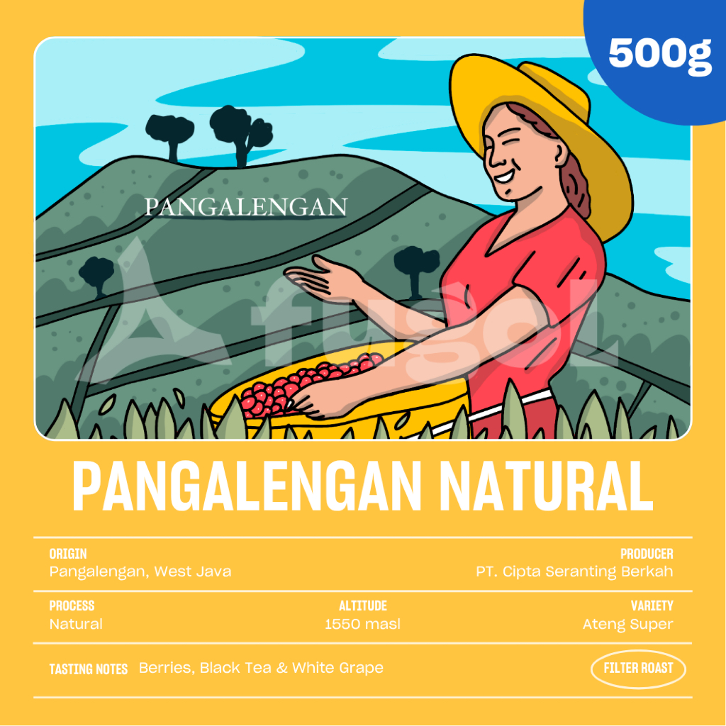 

Kopi Arabika Pangalengan Natural 500gr Single Origin Specialty Coffee