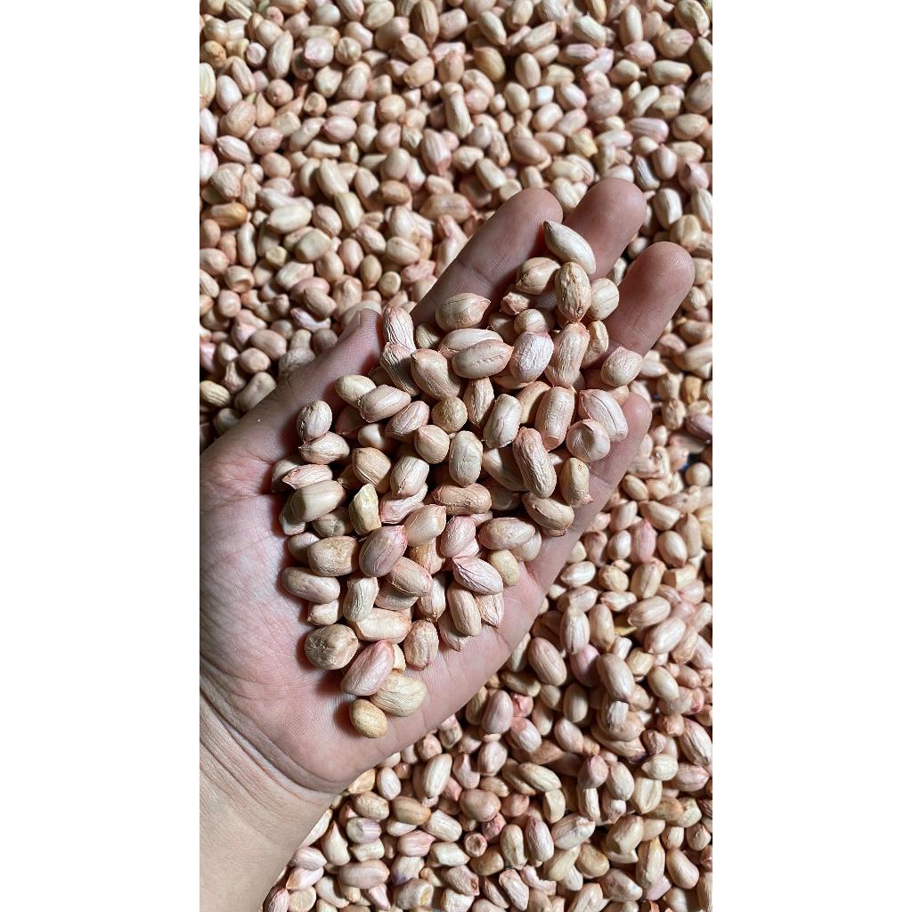 

Kacang Tanah Kupas Fresh Siap Olah 500gram