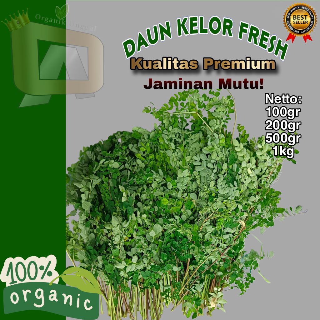 

Daun Kelor Segar 1kg Daun Herbal Rempah Segar