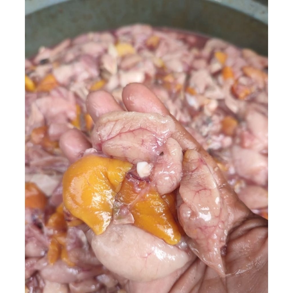 

Telur ikan Mata merah