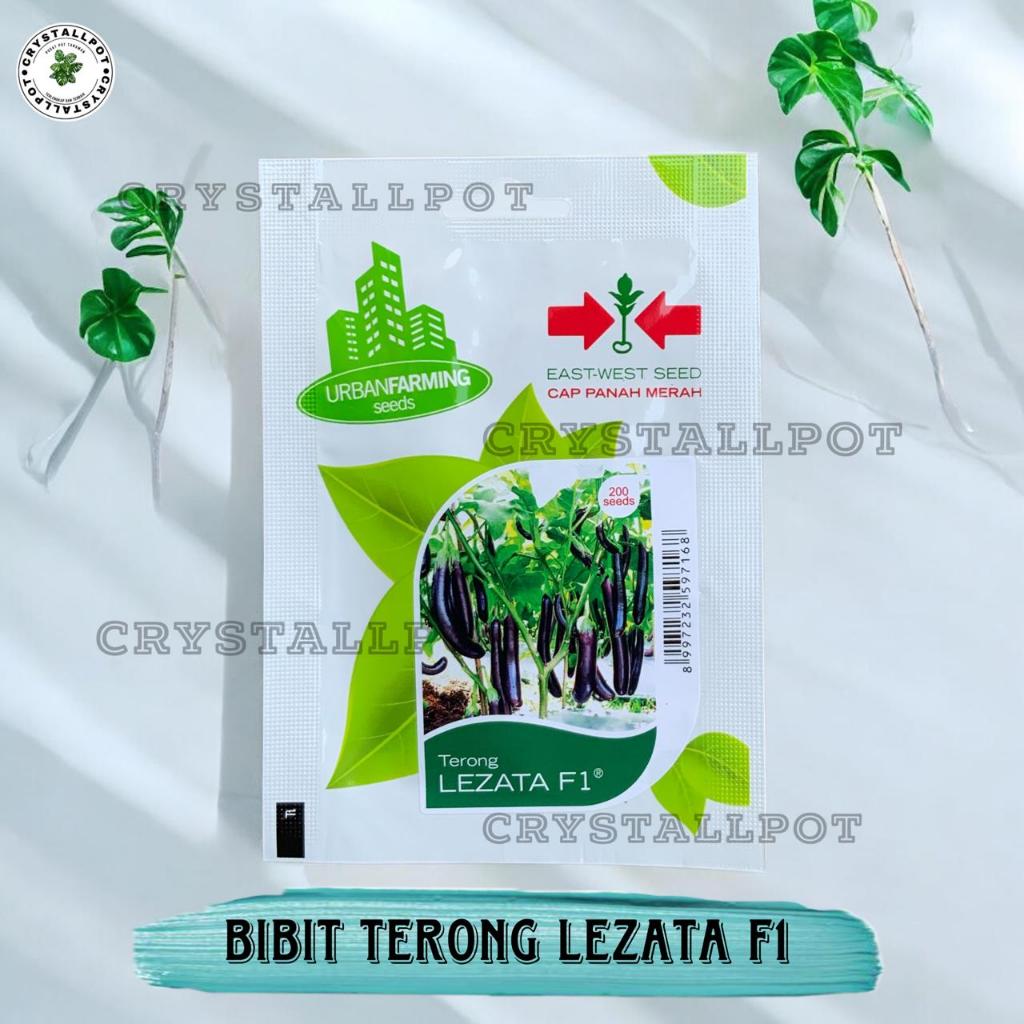 Benih Bibit Terong Ungu Panjang Lezata F1 Cap Panah Merah - TERONG PANJANG LEZATA F1 EAST WEST SEED